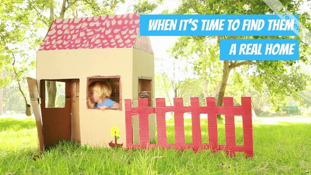 Real Home Video Template