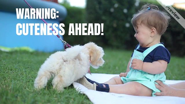 Baby with Puppy Video Template