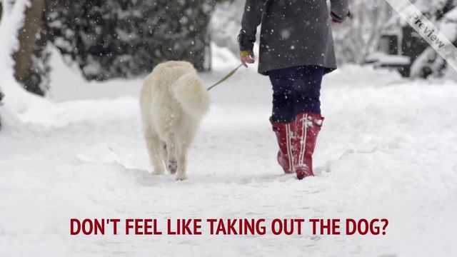 WALK THE DOG Video Template