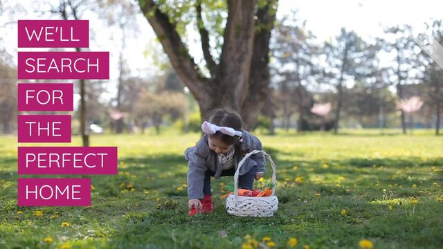 Stop Searching Video Template