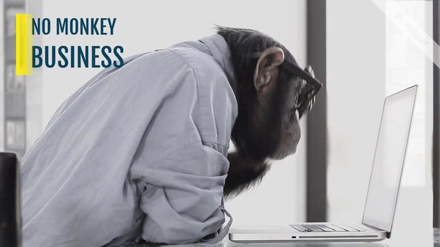 MONKEY Pro Video Template