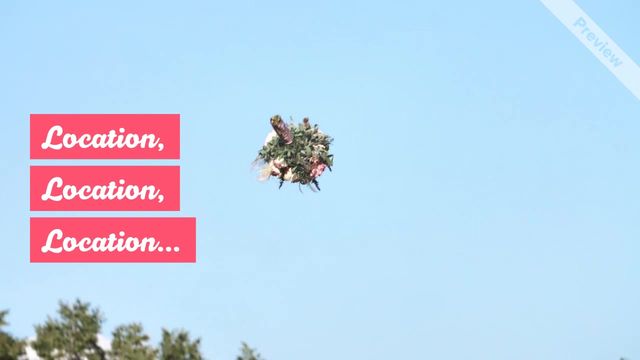 PERFECT VENUE Video Template