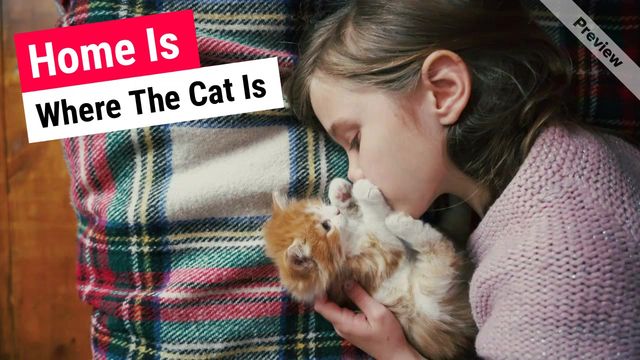 Home Is Video Template