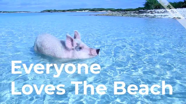 Beach House Video Template