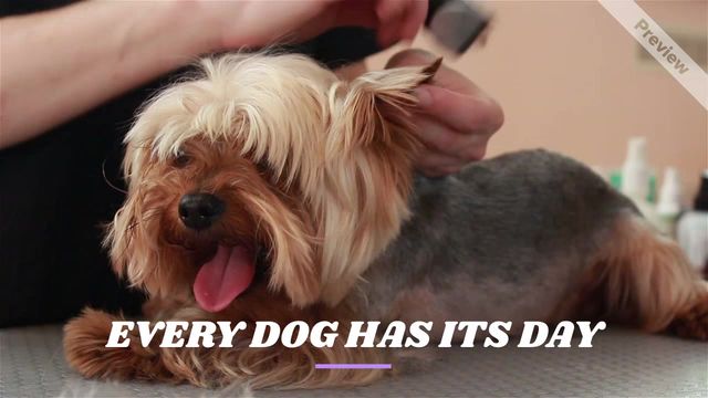 EVERY DOG Video Template