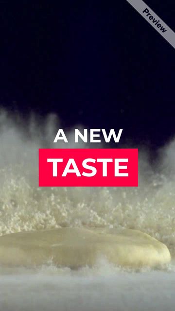 NEW TASTE Video Template