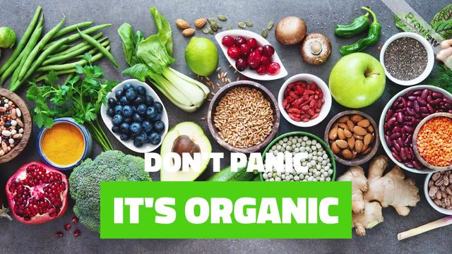 DON'T PANIC Video Template