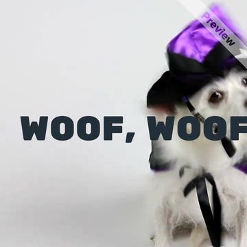 I'M A WIZARD Video Template