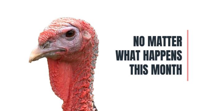 NOT A TURKEY Video Template