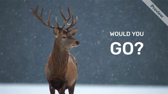 SNOW MAGIC Video Template