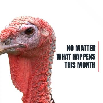 NOT A TURKEY Video Template