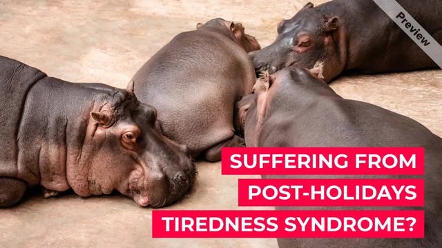 Gym Classes Video Template