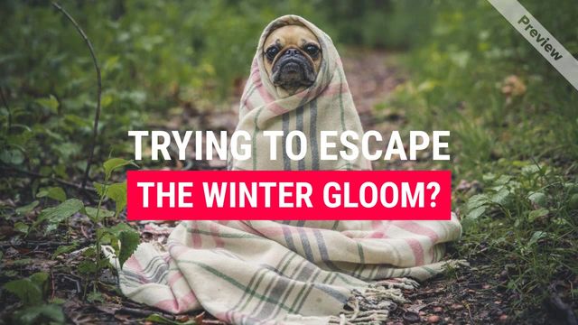 Paradise House Video Template