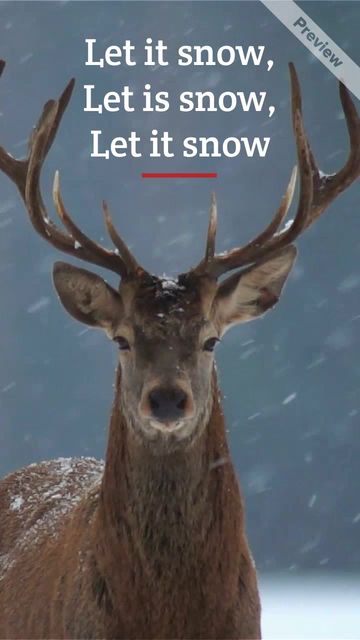 LET IT SNOW Video Template