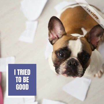 GOT BORED Video Template