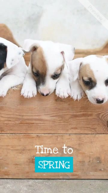 New Adventures #2 Video Template