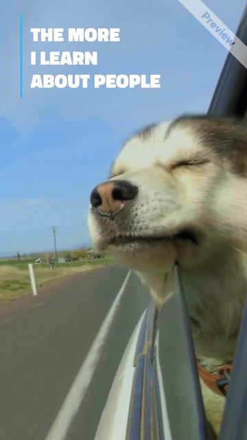 MY DOG Video Template