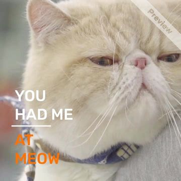 YOU HAD ME Video Template