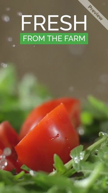 FRESH SALAD Video Template