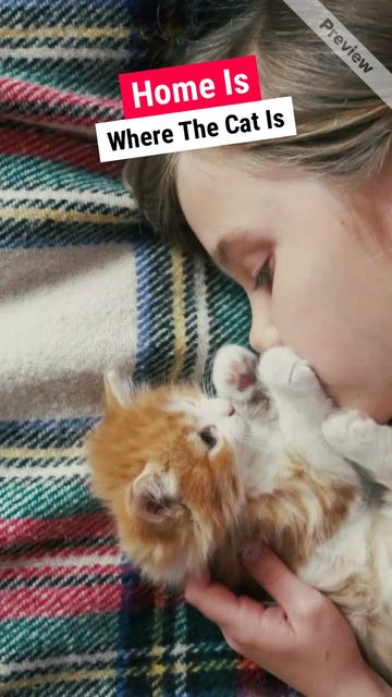 Home Is Video Template