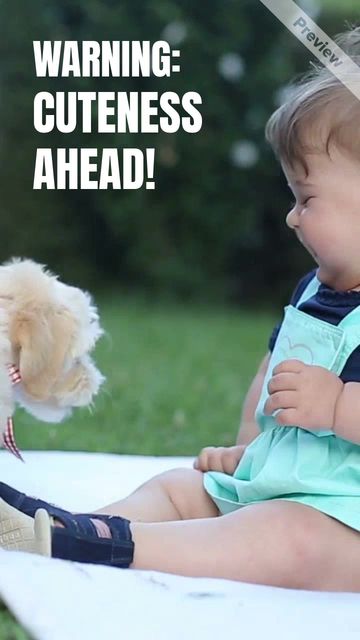 Baby with Puppy Video Template