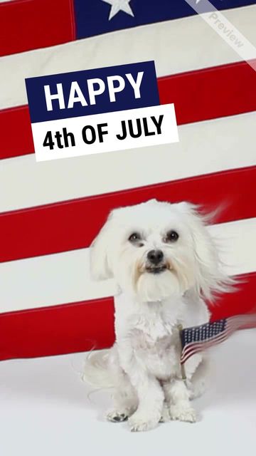 PROUD DOG #2 Video Template