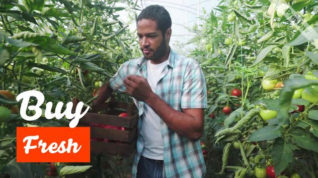 FARM FRESH #2 Video Template