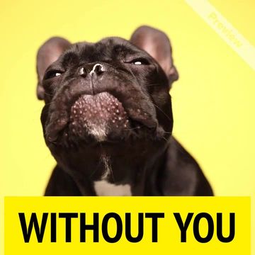 Adopt Me Video Template