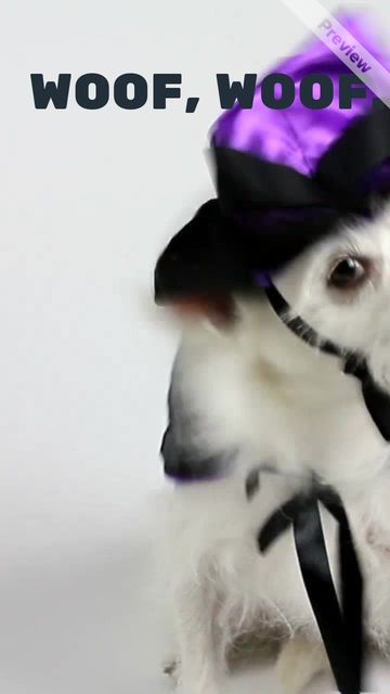 I'M A WIZARD Video Template