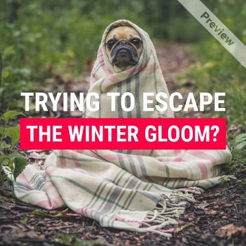 Paradise House Video Template