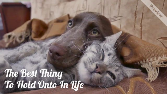 The Best Thing Video Template