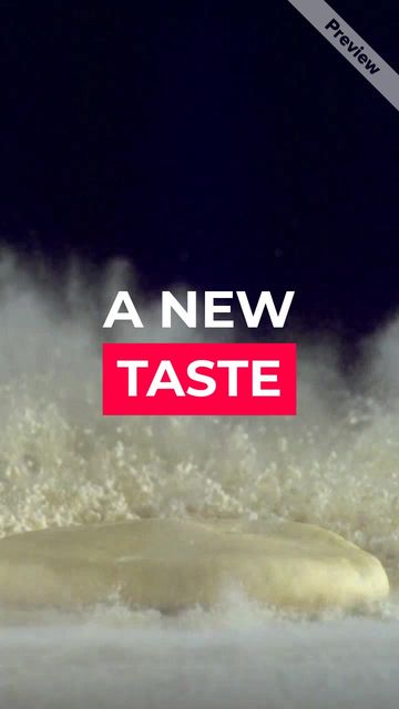 Food App Video Template