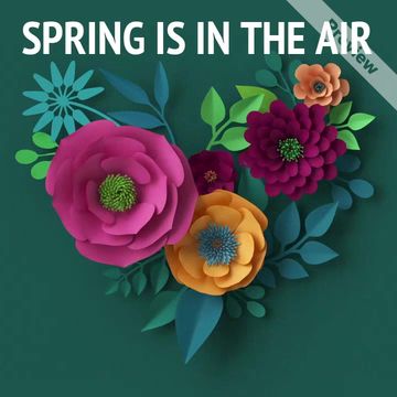 In the Air Video Template