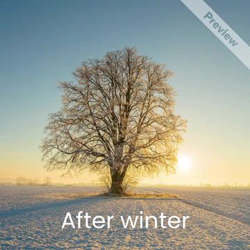 After Winter Video Template