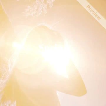 The New Collection Video Template