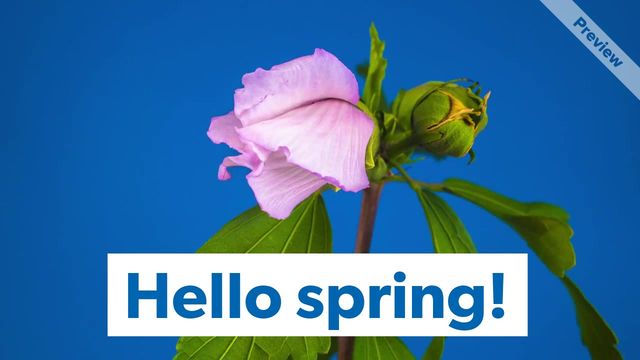 Hello Spring. Video Template