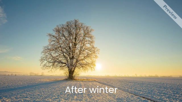 After Winter Video Template