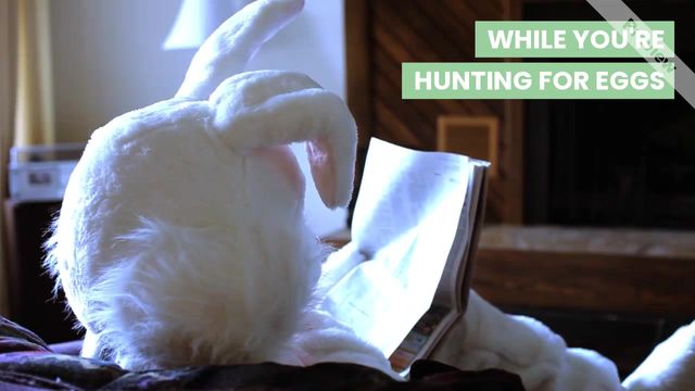 hunting homes Video Template