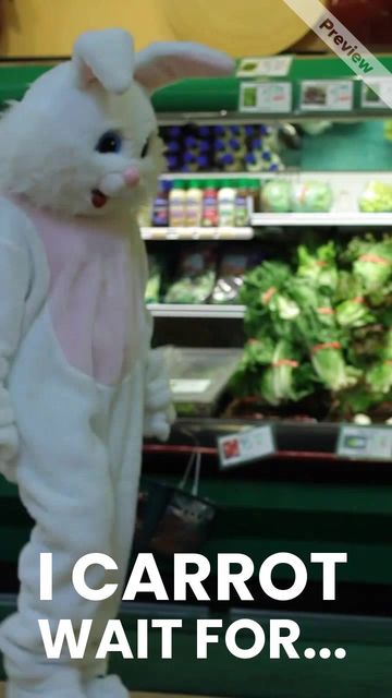 Carrot wait Video Template