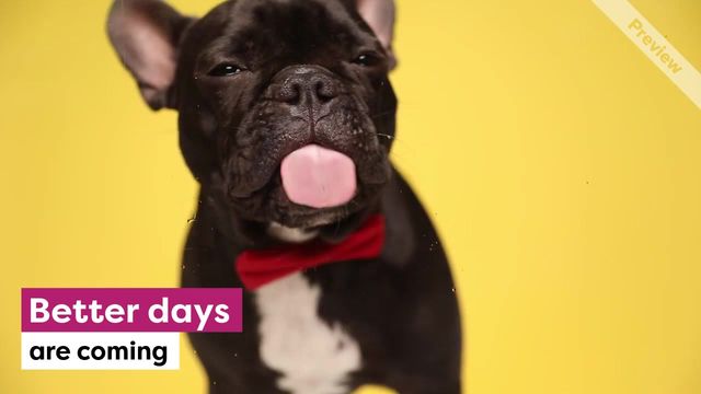 #TGIF Video Template