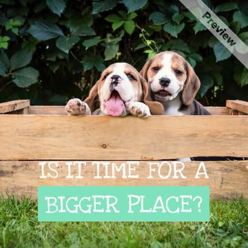 Pup Eyes Video Template