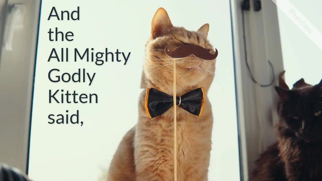 #Caturday Video Template