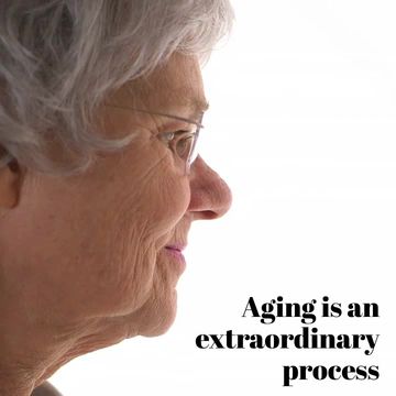 National Senior Citizens Day Video Template