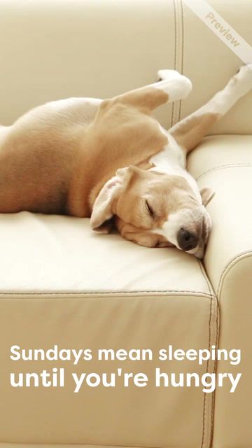 Sunday Funday Video Template