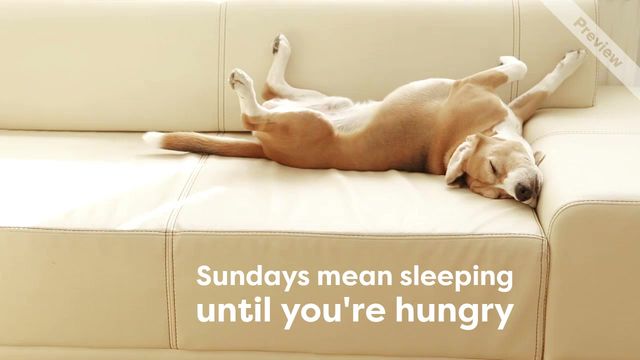 Sunday Funday Video Template