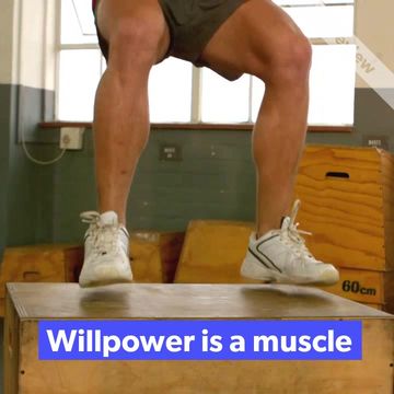 Willpower Video Template