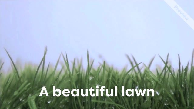 Beautiful Lawn Video Template