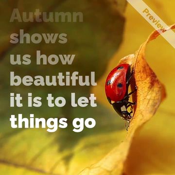 First Day of Fall Video Template