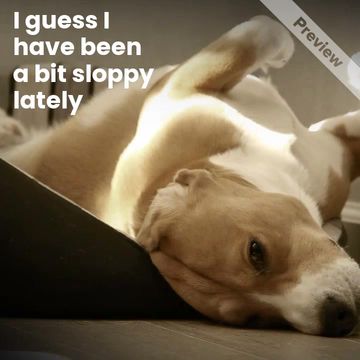 Dog Spa Video Template