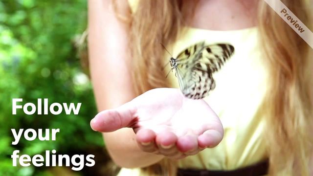 Butterflies Video Template